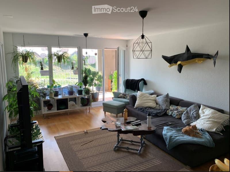 Modern living room with a dark sectional sofa, coffee table, armchair, ottoman, and a cat resting on the sofa. The room features large windows with plants, a hanging geometric light fixture, and a decorative shark wall art.
