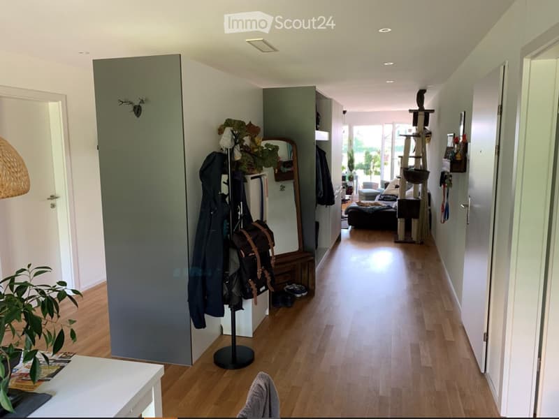 A well-lit hallway with wooden flooring, coat rack, and a cat tree in the background.