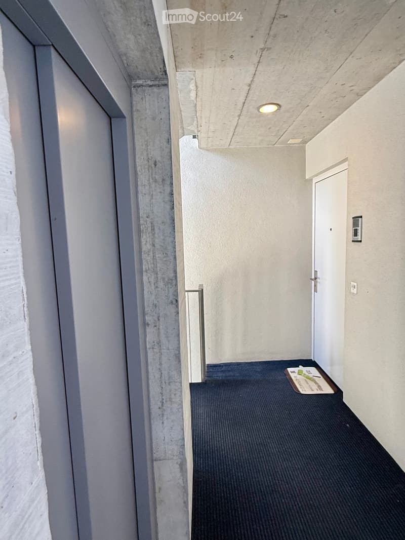 Modern hallway with concrete walls, carpeted floor, and a single door at the end.