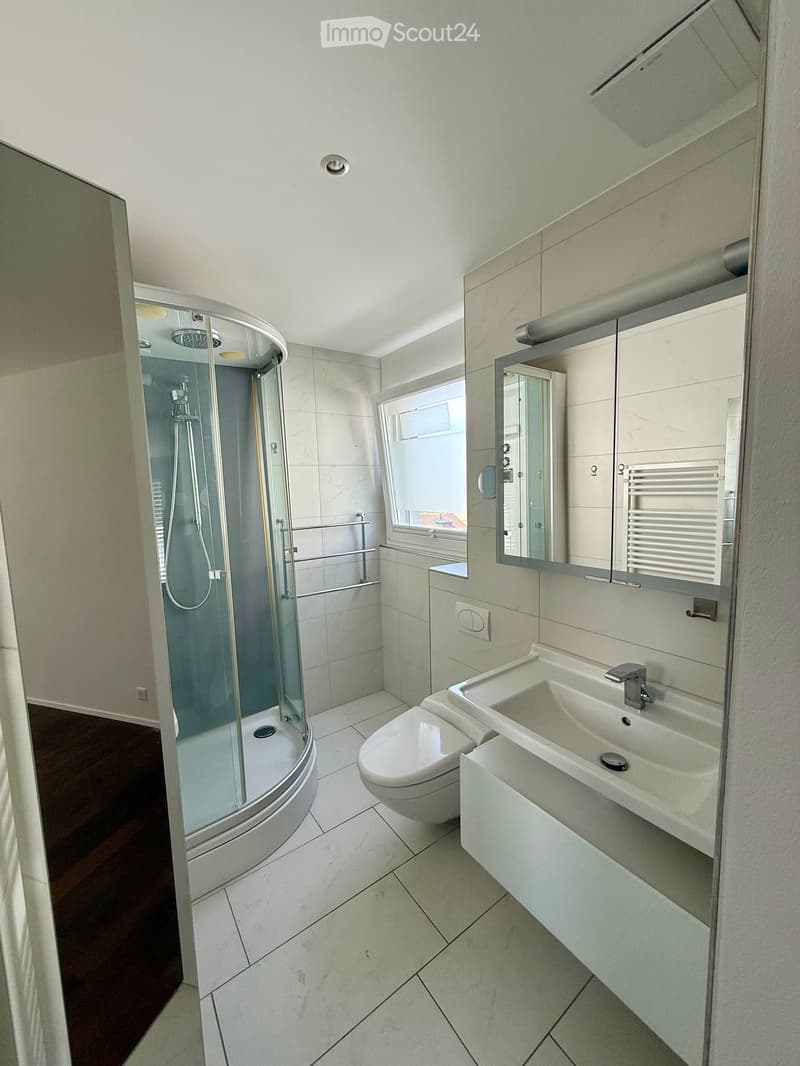 Modern bathroom with white tiles, a corner shower, a toilet, a sink with a mirror, and a radiator.