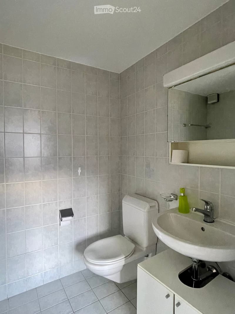 A small bathroom with grey tiled walls and floor, featuring a toilet, a sink with a mirror above it, and a cabinet below the sink. A bottle of green liquid is placed on the sink counter.