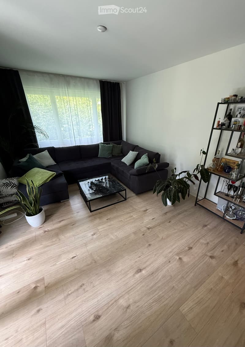 Modern living room with light wooden flooring, a dark grey sectional sofa with green and white cushions, a black glass coffee table, a tall black shelving unit with various items, and potted plants.