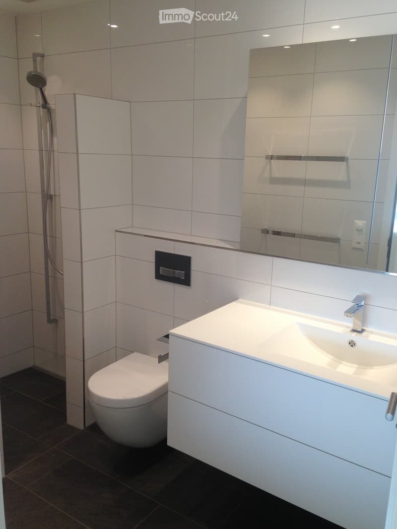 Modern bathroom with white tiles, a toilet, a sink with a chrome faucet, a large mirror, and a shower with a handheld sprayer.