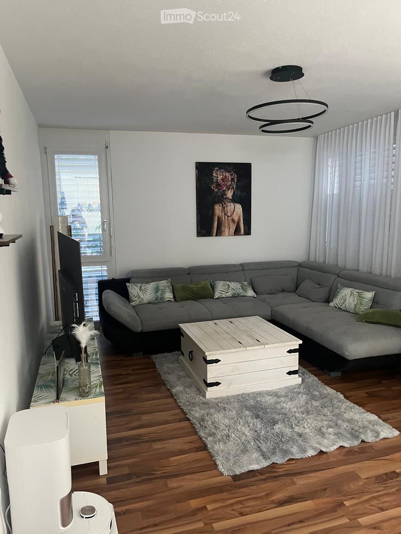 Modern living room with grey sectional sofa, wooden coffee table, fluffy rug, large painting, and TV stand.