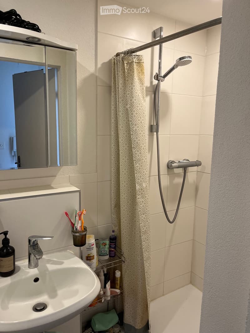 Modern bathroom with a white sink, mirror, toothbrush holder, and a shower area with a curtain and handheld showerhead.