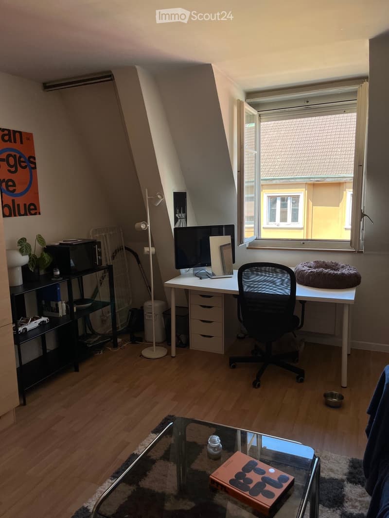 A cozy attic room with wooden flooring, a large window, a desk with a computer and chair, a shelf with books and a plant, and a small table with a pet bed.