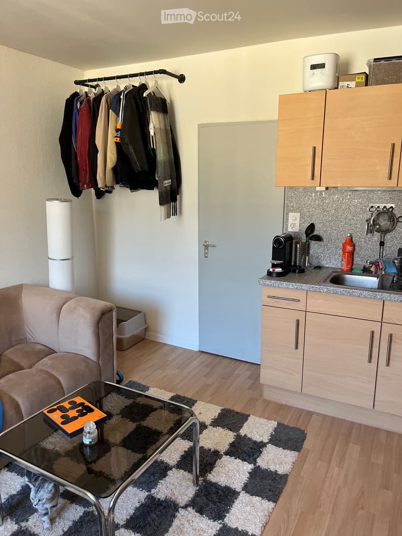 A modern, open-plan living and kitchen area with a sofa, coffee table, and a cat. The kitchen features light wooden cabinets, a sink, and various appliances.