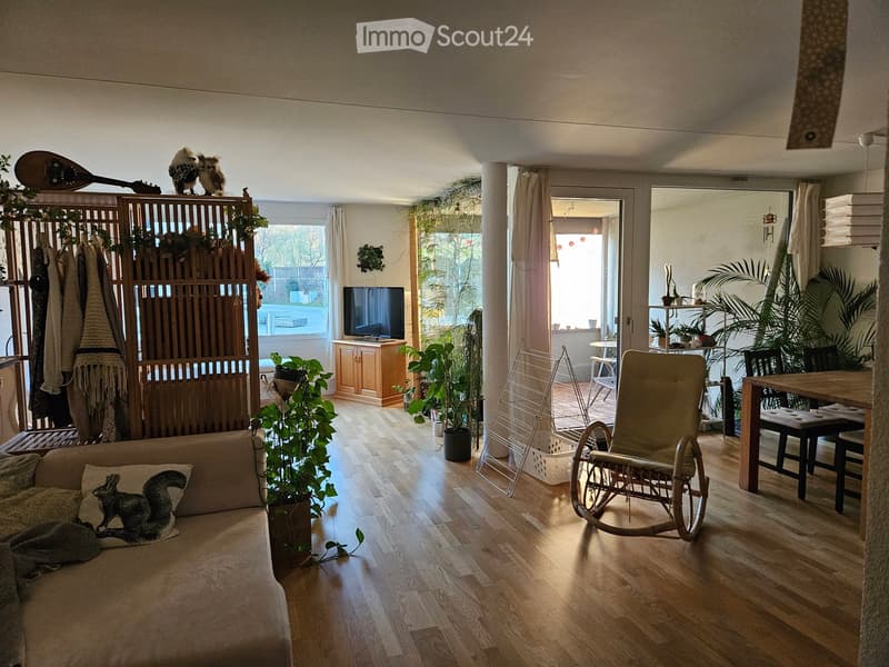 A cozy living room with wooden flooring, a sofa with a squirrel pillow, a television on a wooden stand, a dining table with chairs, a rocking chair, and several potted plants. There is also a drying rack and a curtained doorway leading to another room.
