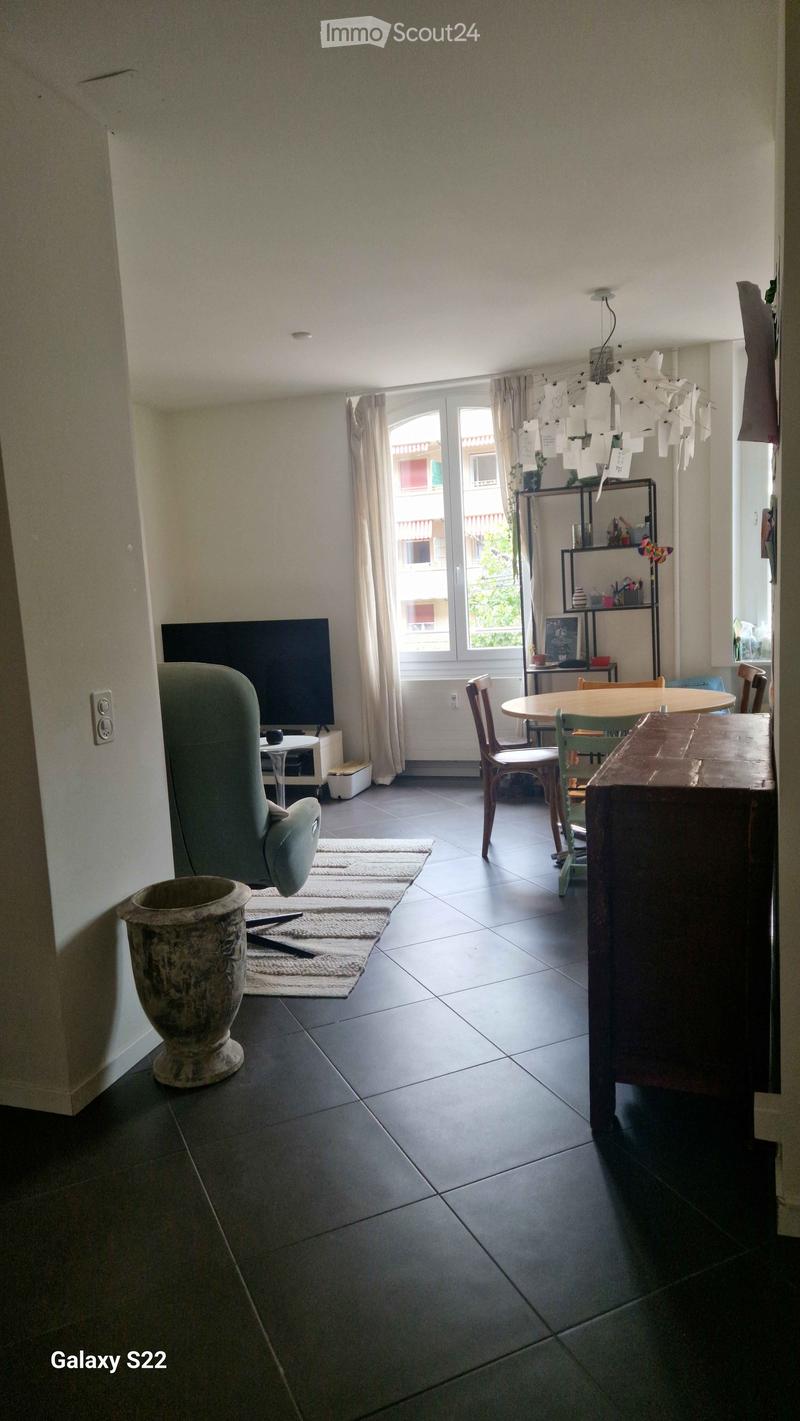 A modern living room with a grey sofa, a wooden dining table with chairs, a television, a shelf with decorative items, a large vase, and a rug on the floor.