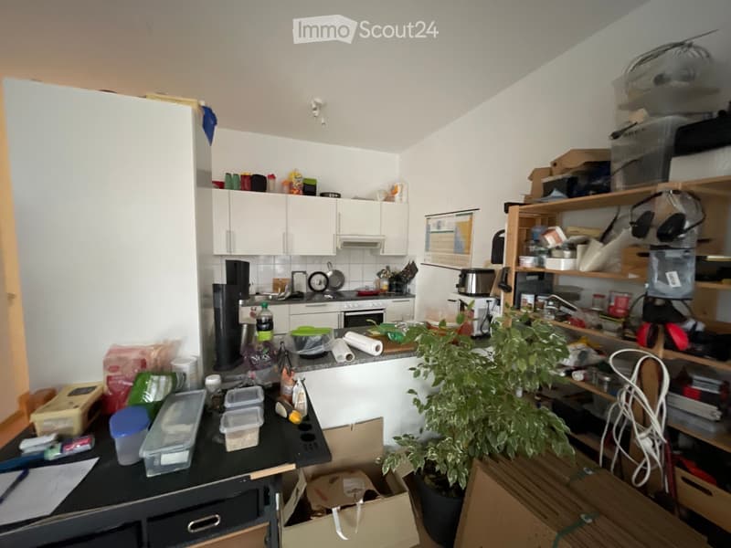 The kitchen features white cabinets, a black countertop, and various appliances including a refrigerator, oven, microwave, and coffee maker. There are shelves with items, a small table with containers, and a potted plant on the floor.