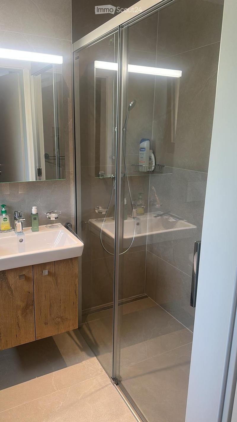 Modern bathroom with a glass-enclosed shower, a white sink with wooden cabinetry, and a large mirror above the sink. The shower includes a handheld sprayer and a built-in shelf holding toiletries.