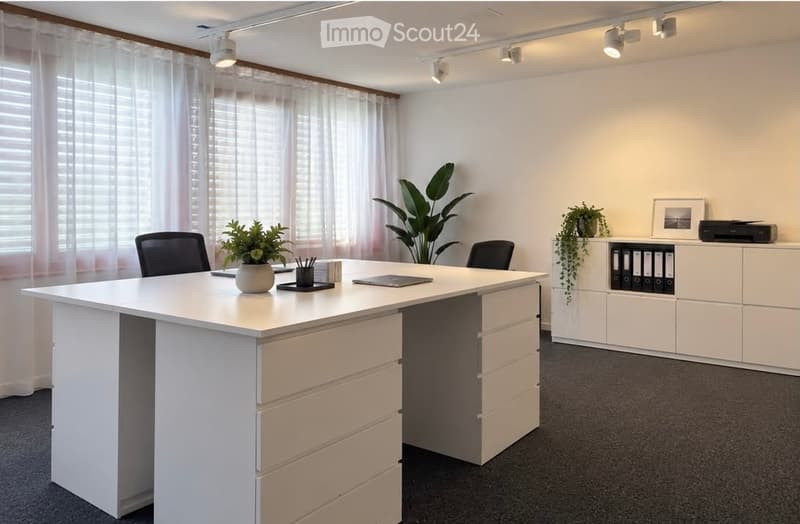 Modern office space with a large desk, two ergonomic chairs, dual computer monitors, potted plants, and a white cabinet.