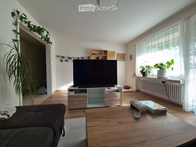 Bright living room with wooden flooring, large window with white curtains, sofa, coffee table, TV on a stand, books, and plants.