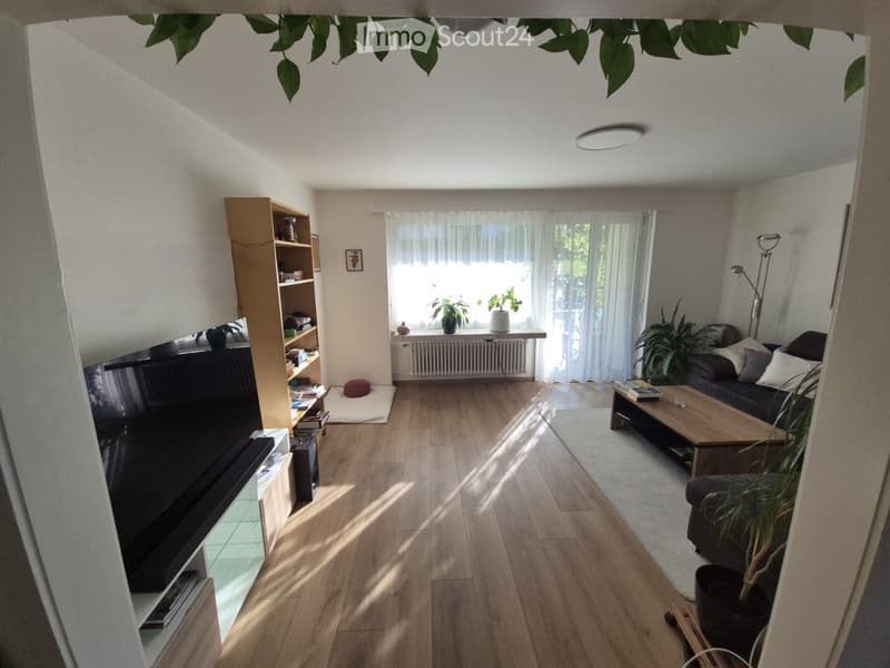 Bright living room with wooden flooring, large windows with white curtains, a sofa, coffee table, bookshelf, television, and several potted plants.