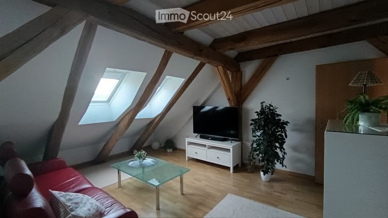 Living room, red couch, glass table, TV, potted plants, hardwood floor