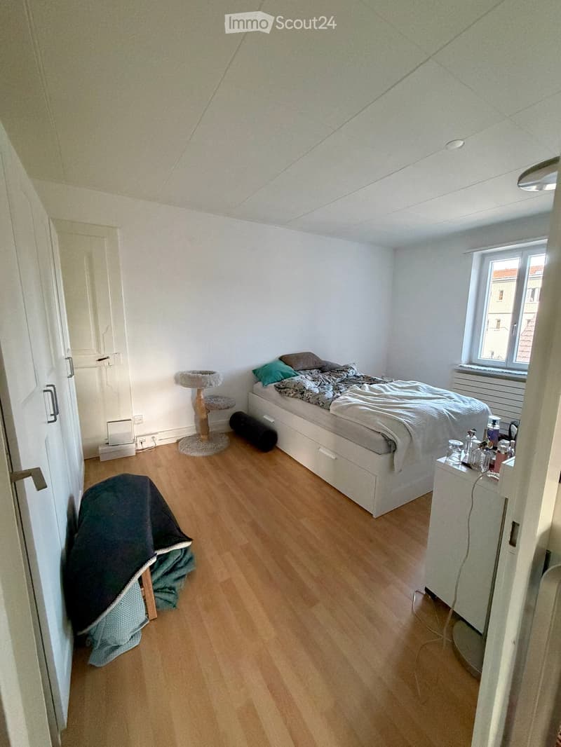 Bedroom with wooden flooring, a single bed with pillows and blankets, a cat tree, a nightstand with items, and a covered chair.