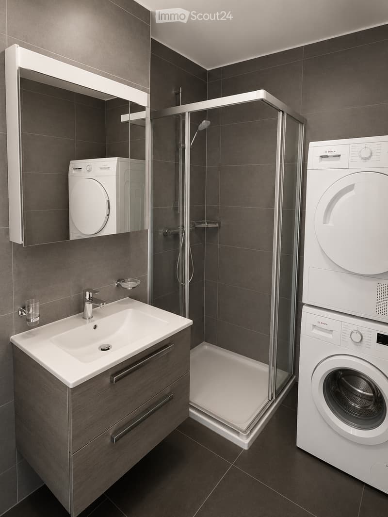 Modern bathroom with a dark tiled shower, a white sink with a chrome faucet, a mirror, and a stacked washer and dryer unit.