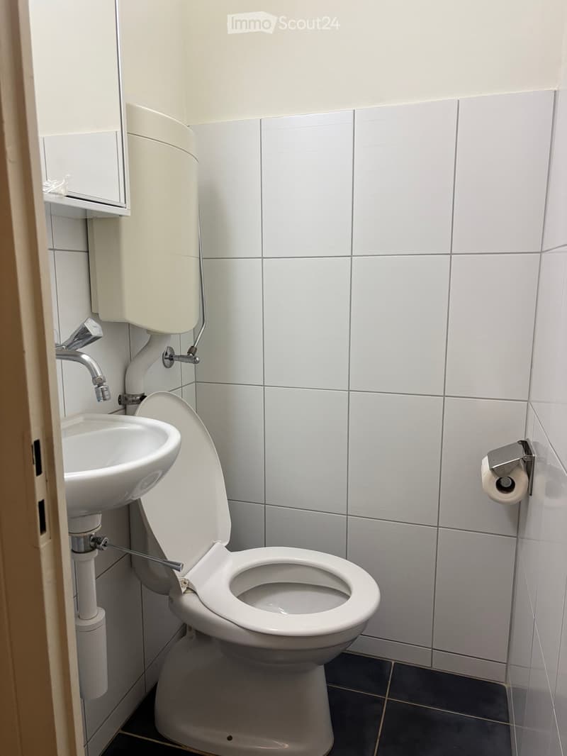 A small bathroom with white tiled walls, a toilet, a sink with a faucet, and a toilet paper holder mounted on the wall.