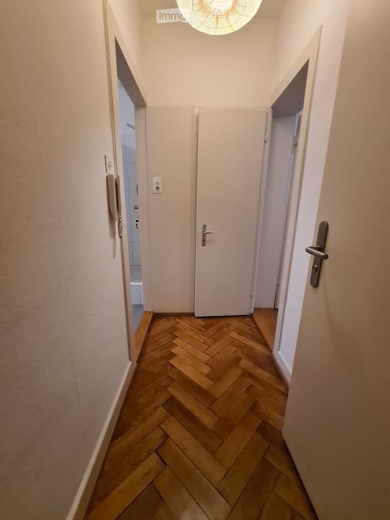 A narrow hallway with wooden herringbone flooring, white walls, and a central closed door. The hallway has a modern ceiling light fixture and visible electrical outlets on the left wall.