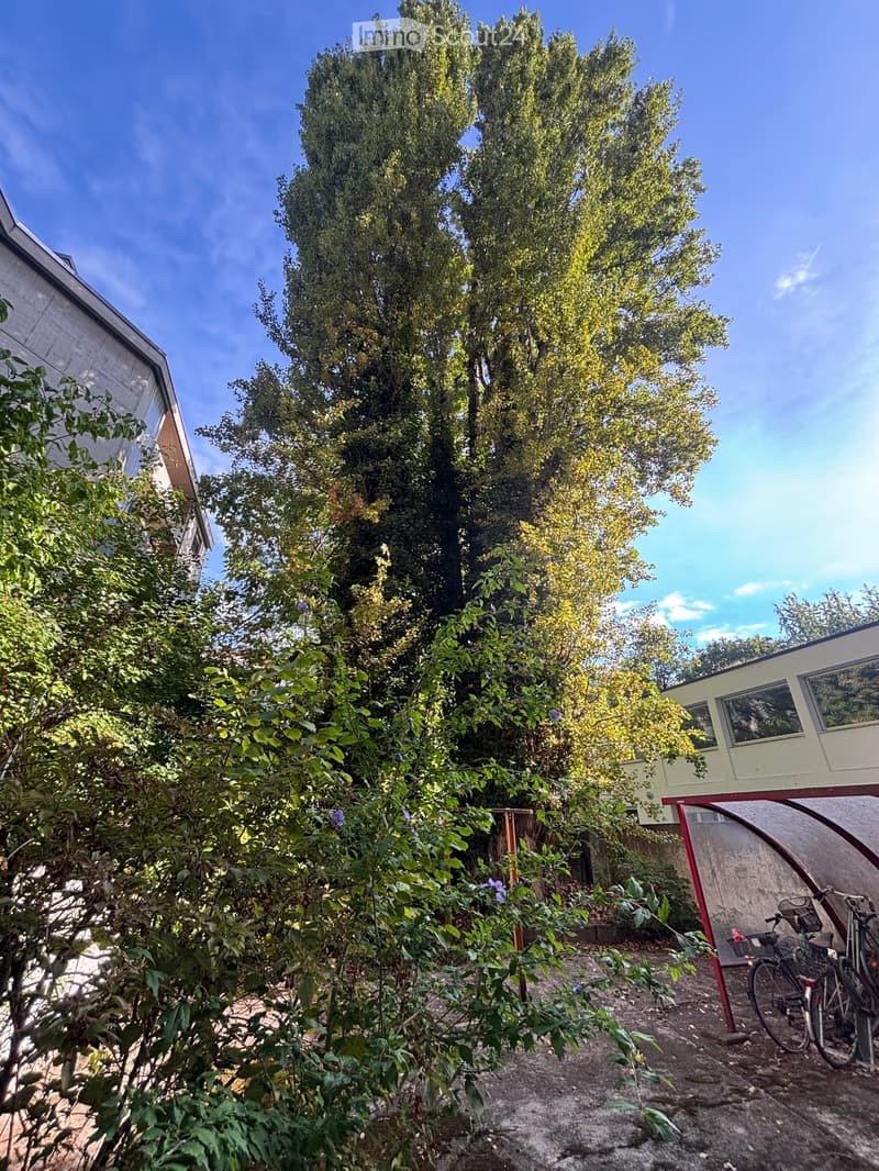 Garden area with tall trees, shrubs, and a small structure with windows, surrounded by greenery and a bicycle.