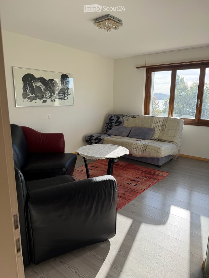 Spacieux appartement de 4 pièces avec terrasse et jardin à La Neuveville (5)