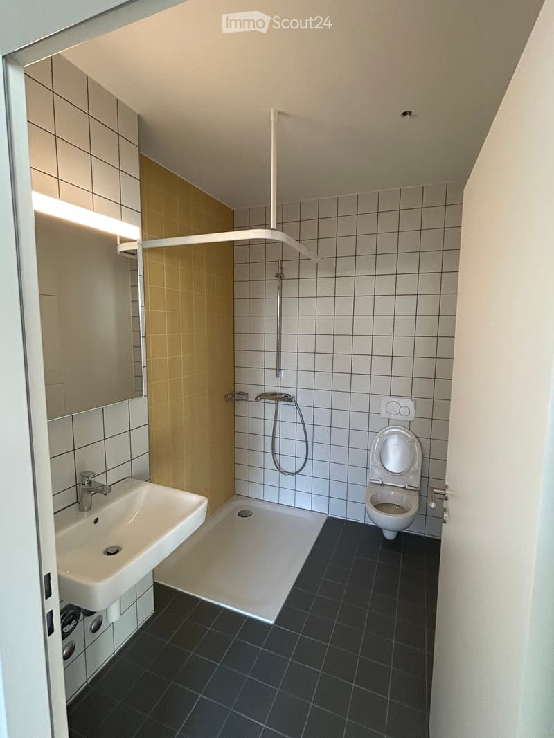 Modern bathroom with white tiles, black floor tiles, a white sink with a chrome faucet, a toilet, and a shower area with a handheld showerhead.