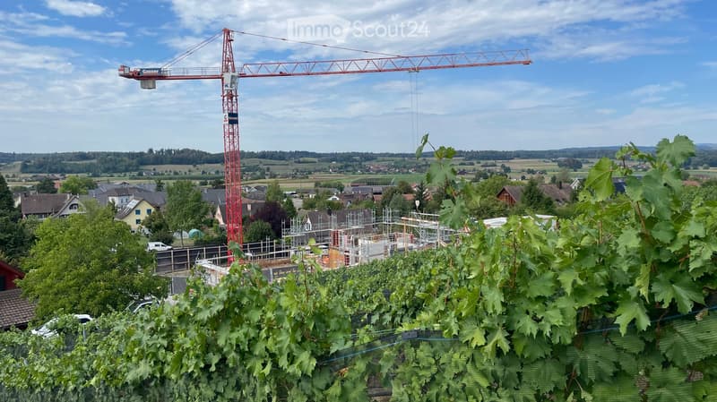 A construction site with a large red crane, partially built structures, and surrounding residential houses and greenery.