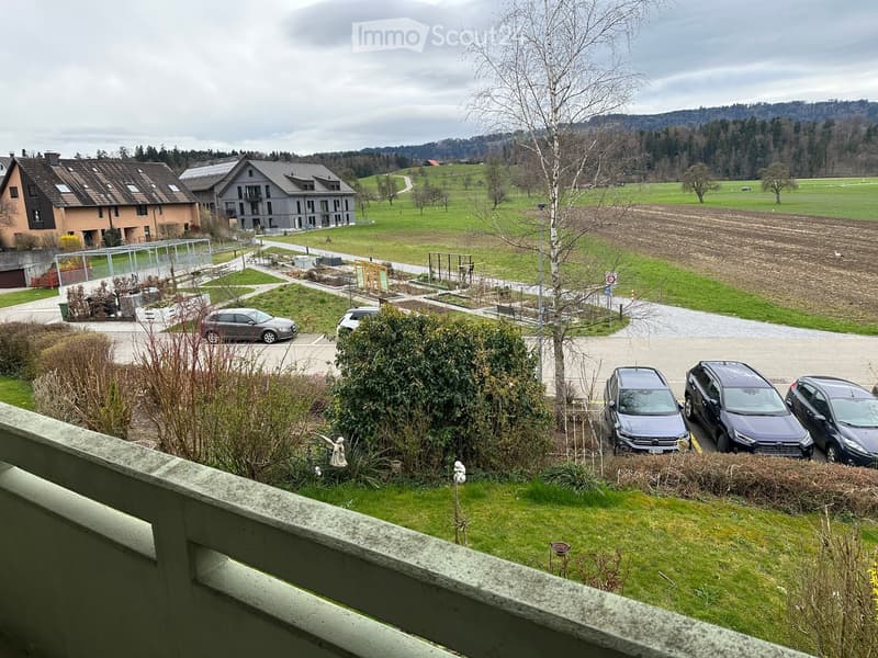 View from a balcony showing a residential area with houses, parked cars, and a green landscape with hills in the background.