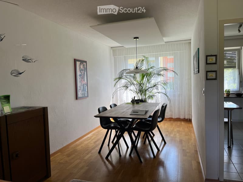 Dining area with wooden floor, modern pendant light, dining table with chairs, framed picture on wall, and potted plant near window.