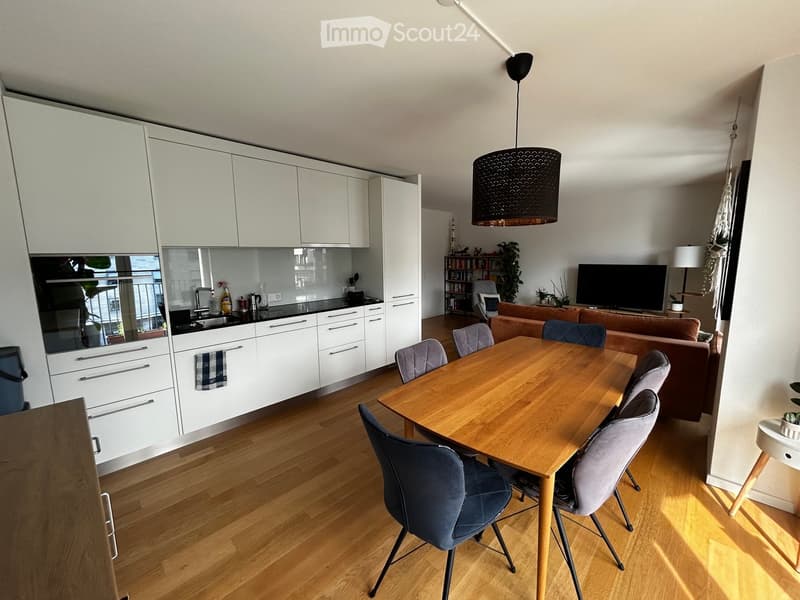 {"type": "Furnished Room", "objects": ["dining table", "chair", "sofa", "television", "kitchen cabinet", "kitchen sink", "kitchen counter", "kitchen drawer", "kitchen appliance", "kitchen towel", "kitchen bottle", "kitchen spray", "kitchen cup", "kitchen