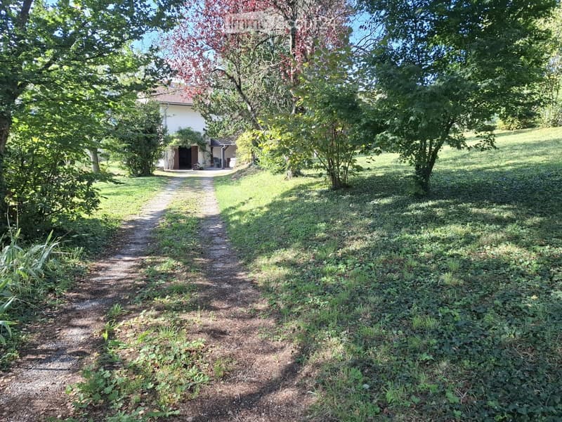 A gravel pathway leads to a small white house surrounded by lush greenery and trees, with a grassy lawn and a small porch area visible.