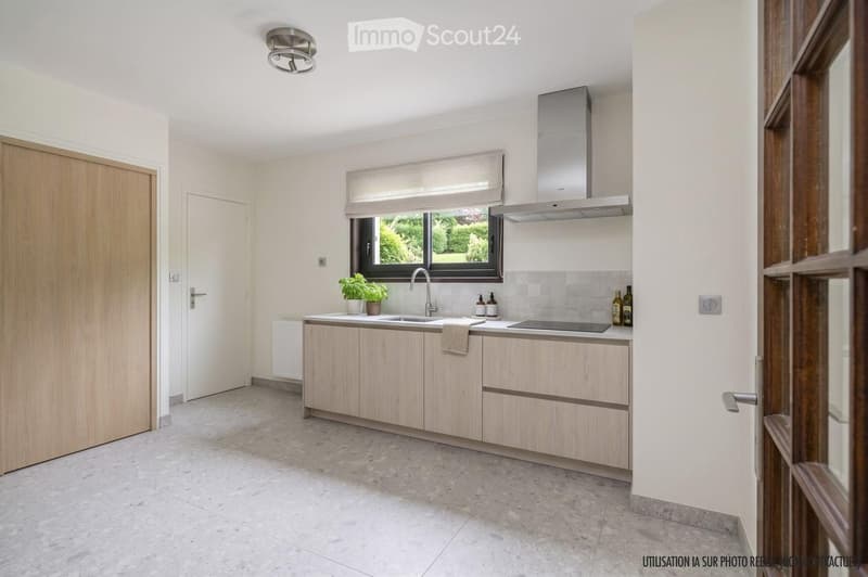 Modern kitchen with light wood cabinets, stainless steel range hood, sink, and small potted plant on the counter.