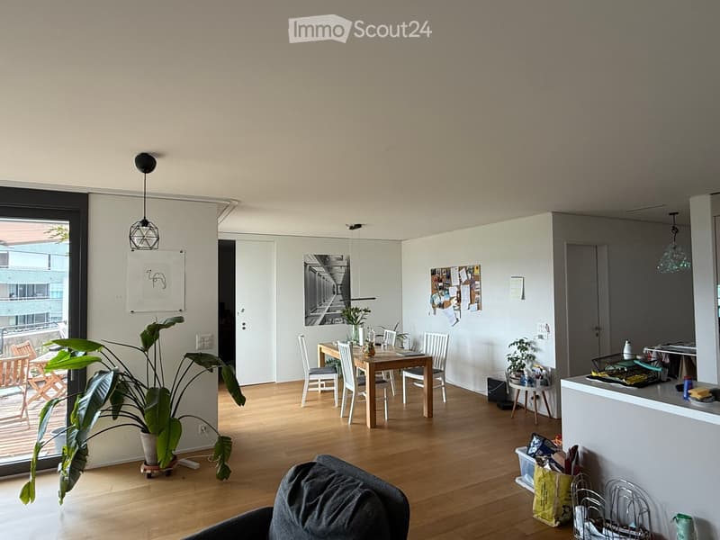 Open-plan living and dining area with wooden flooring, a large potted plant, a dining table with chairs, a sofa, and a kitchen counter.