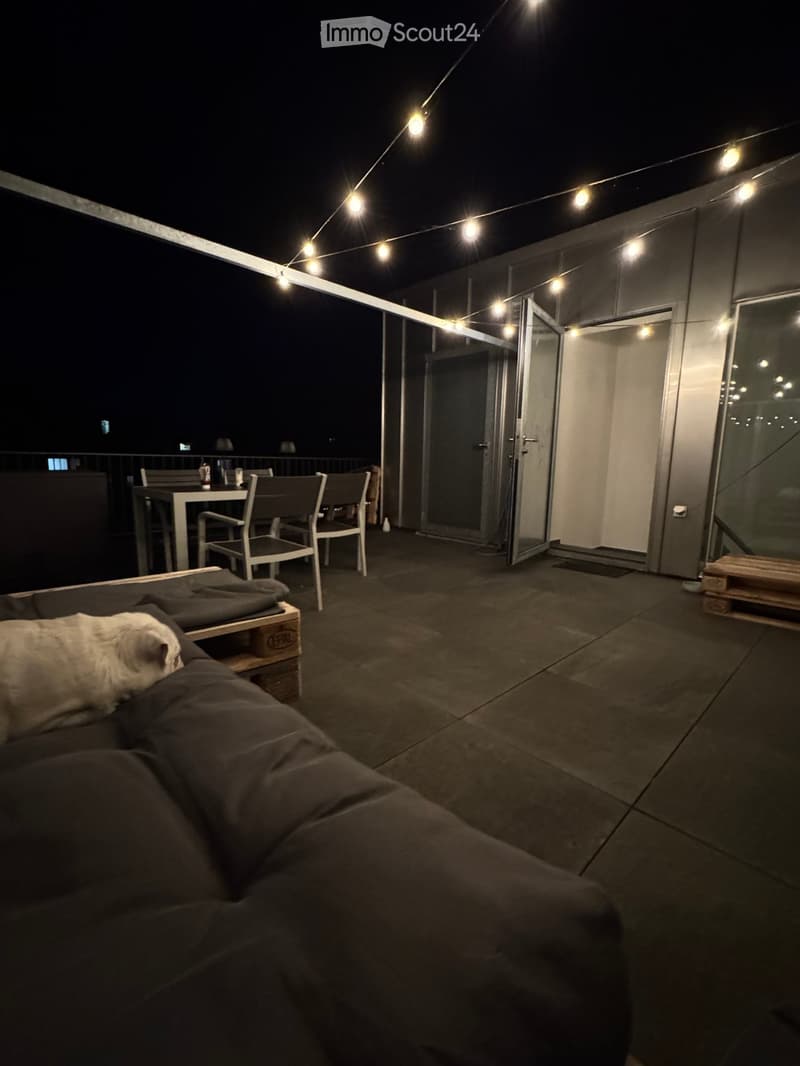 Balcony with a sofa, a dog, a table, and chairs, decorated with string lights.