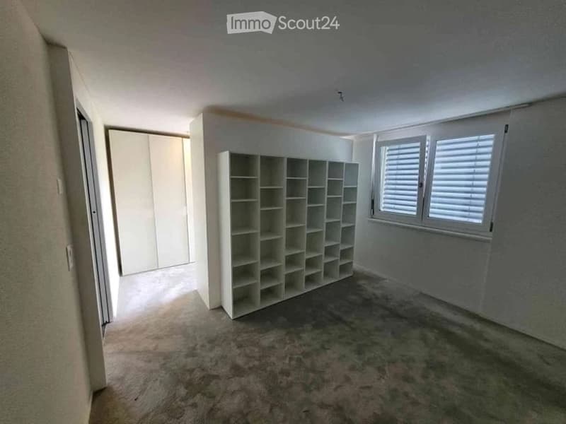 Empty room with white walls, carpeted floor, built-in shelving unit, and a closet. No furniture or personal items present.