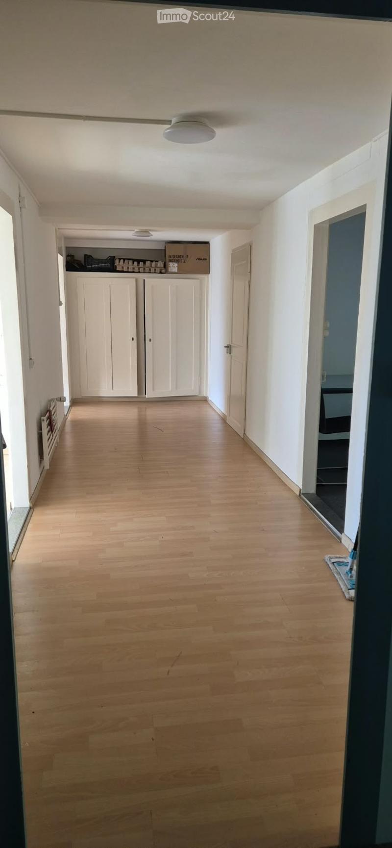 Empty hallway with light wooden flooring, white walls, and white cabinetry at the end.