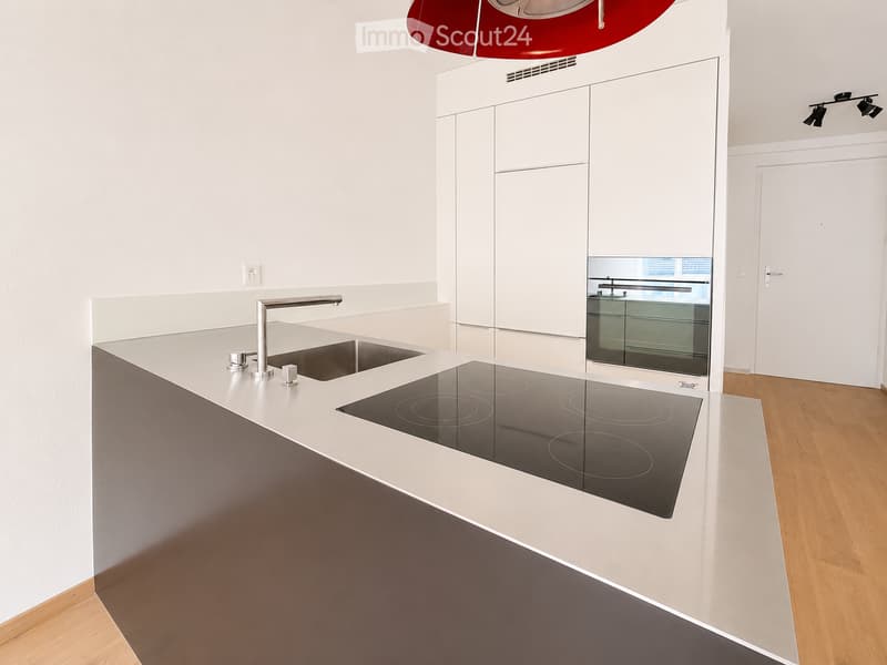Modern kitchen with white cabinets, a stainless steel sink, a sleek induction cooktop, and a minimalist design.