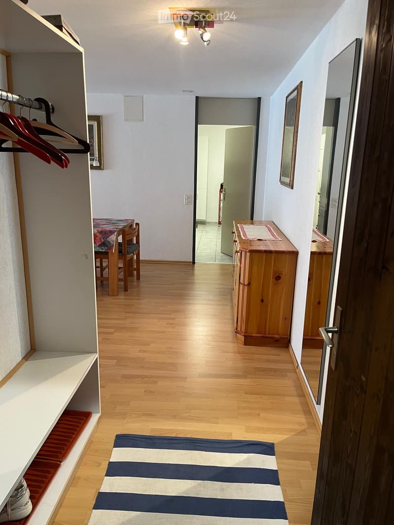 A well-lit hallway with wooden flooring, a striped rug, and a small table with chairs in the background. There are built-in shelves and a coat rack on the left side.
