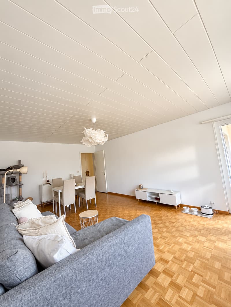 Open-plan living and dining area with a grey sofa, wooden dining table, white chairs, a cat tree, and a modern lamp.