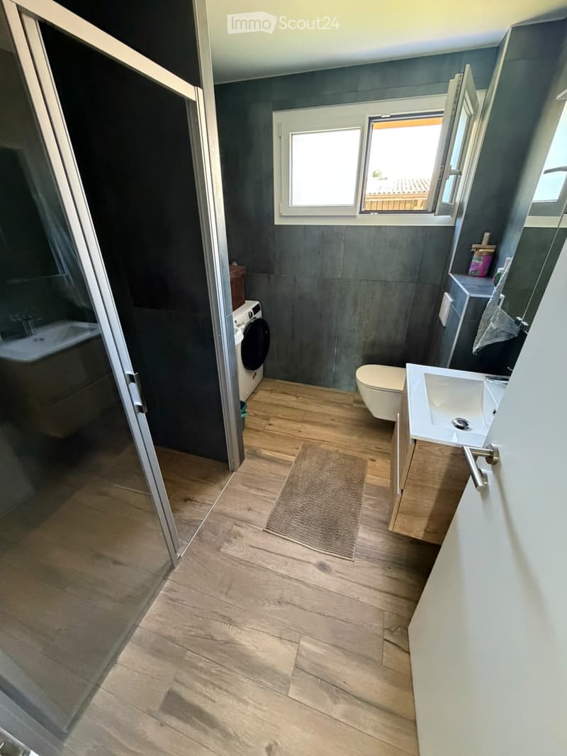 Modern bathroom with wooden flooring, dark grey walls, a toilet, a sink, a washing machine, and a small bathroom rug.