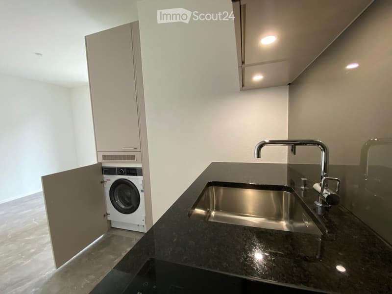 Modern bathroom with a dark granite countertop, stainless steel sink, and a built-in washing machine in a cabinet.