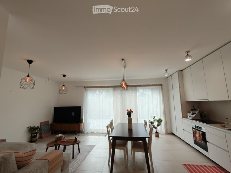 A modern, open-plan living and dining area with a sofa, coffee table, dining table with chairs, television, kitchen area with cabinets and appliances, pendant lights, and decorative plants.