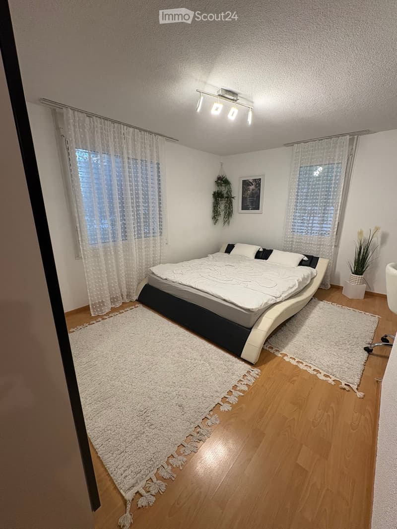 Modern bedroom with a large bed, white bedding, wooden flooring, white rugs, sheer curtains, and a small potted plant on the floor.