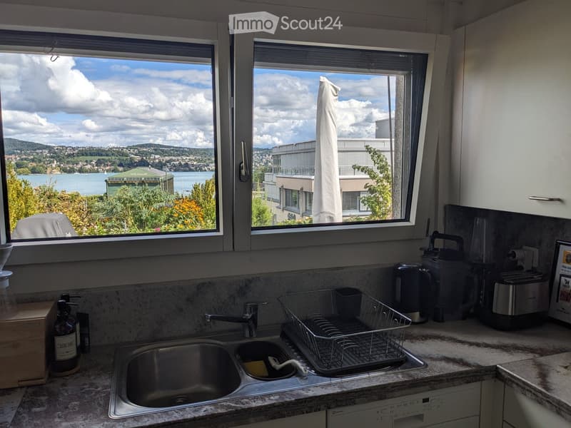 Modern kitchen with a double sink, dish rack, and various appliances including a toaster, coffee maker, and blender. Large windows offer a scenic view of a lake and surrounding landscape.