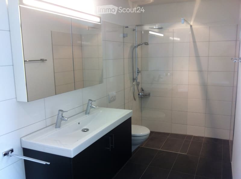 Modern bathroom with a white sink, chrome faucets, a large mirror, a toilet, and a glass-enclosed shower with a handheld showerhead.