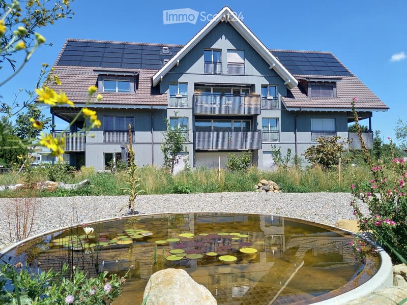 Modern two-story house with grey exterior, multiple balconies, solar panels on the roof, and a small pond with lily pads in the foreground.