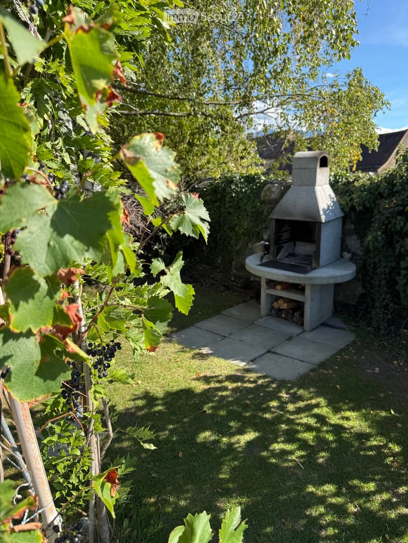 Garden with a stone barbecue, grapevine, and grassy area.