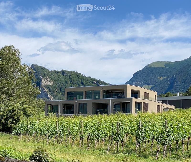 Modern two-story house with large windows and a balcony, surrounded by vineyards and mountains.