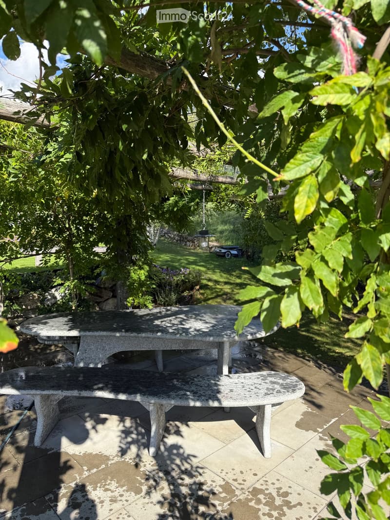 A shaded outdoor seating area with a stone table and bench under a tree, surrounded by greenery and a stone pathway.
