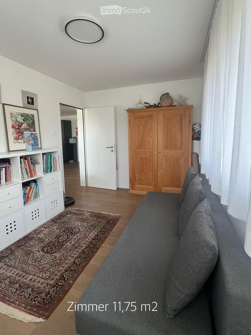Living room with a grey sofa, wooden cabinet, bookshelf, patterned rug, and picture frame on the wall.